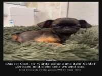 Carl der mrrische Morgenmuffel
