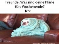 Pl�ne f�rs Wochenende