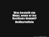 Mops im Gasthaus: Die Pommes-Bestellung