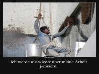 Ein Job voller Bienenenergie