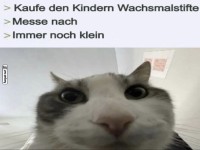 Katzenlogik: Messfehler garantiert!