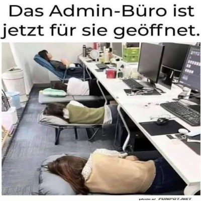 Power-Napping-der-Admins:-B&uuml;ro-Siesta-de-Luxe.jpg von Valentina