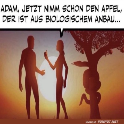Bio-&Auml;pfel-im-Paradies!.jpg von Brandon
