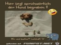 begraben