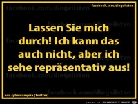 diegeilsten repraesentativ