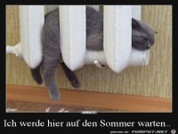 warten auf den Sommer......