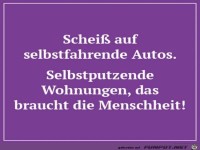 Scheiss auf selbstfahrende Autos.......