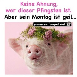 Dieser-Pfingsten.jpg auf www.funpot.net