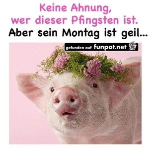 Begrüßungsbild