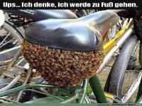 Dann doch lieber zu Fu�
