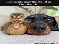 Eine tolle Freundschaft