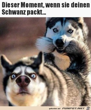 Dieser-Blick,-wenn-sie-dich-packt.jpg auf www.funpot.net