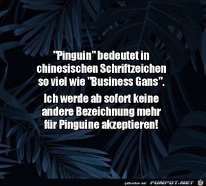 Pinguin-auf-chinesisch.jpg auf www.funpot.net
