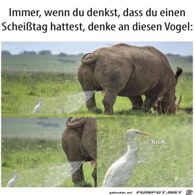 Wenn-du-einen-schlechten-Tag-hattest.jpg von SWolle