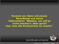Kommt ein Hahn mit einem Straußenei auf seine Hühnerfarm