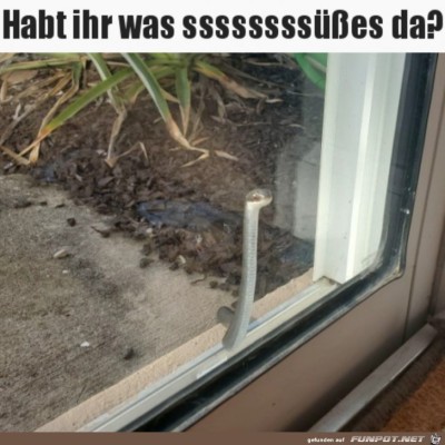 Man-fragt-ja-nur.jpg von Henry
