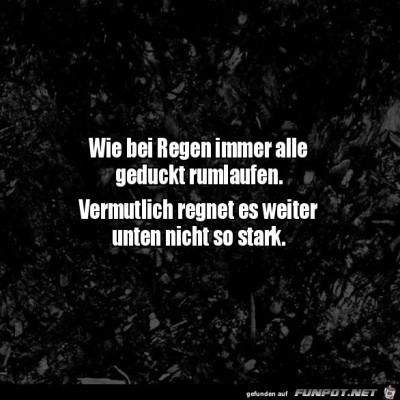 Bei-Regen-geduckt-rumlaufen.jpg von Brenda