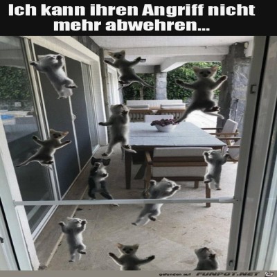 Anriff-der-Kätzchen.jpg von Alya