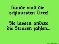 schlau