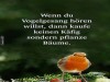 weiter