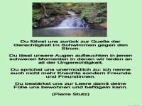 du f�hrst uns zur�ck
