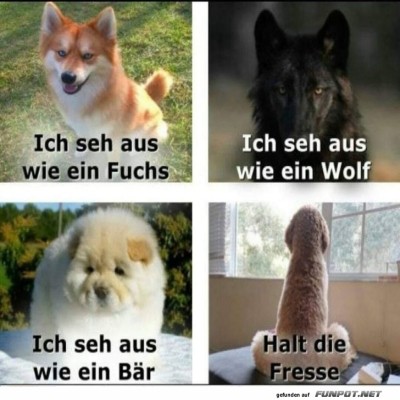 Aussehen.jpg von Justus2002
