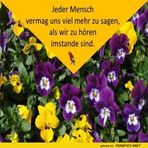 Jeder-Mensch.jpg von Sirene