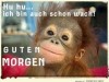 weiter
