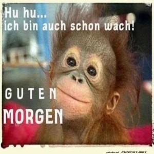 Guten-Morgen.jpg von Nachtstern