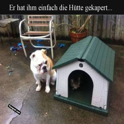Hundehaus-ohne-Hunderecht?.jpg von Traumfrau