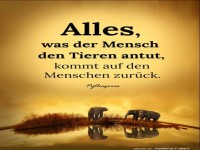 alles