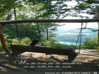 Was die Erde für die Bäume ist