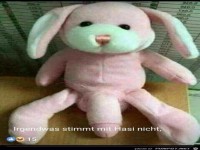 Irgendwas stimmt mit Hasi nicht