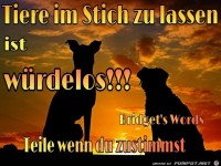 Tiere im Stich zu lassen
