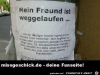 Suchanzeige