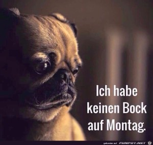 Begr&uuml;&szlig;ungsbild