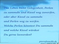 Das Leben bietet Gelegenheit