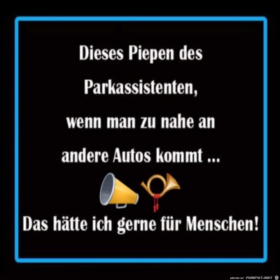 Parkassistent.jpg von Noah75