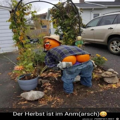 Herbst.jpg von Matteo