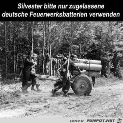 Silvester.jpg von Ida