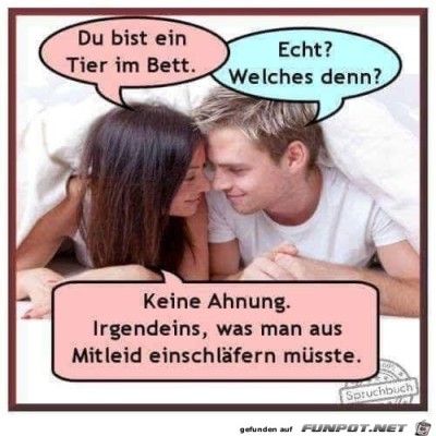 Tier-im-Bett.jpg von Keule56