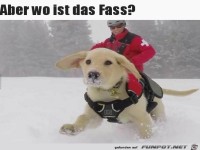 Wo ist das F�sschen?