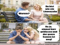 Wie ein L�wenzahn
