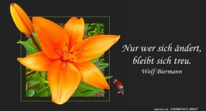 herz-Bild: Nur wer sich ändert