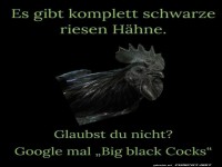 Schwarze Riesenh�hne entdecken