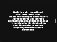 Hundelogik 101: Ausfhren mit Innovation!