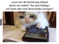 Miau-liches Mathe-Drama in der Futterfabrik