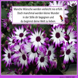 Manche-Wünsche-werden-nie-erfüllt.jpg von Sirene