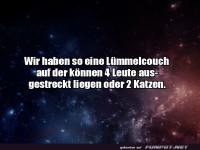 Katzen und ihre Couch-Eroberungsk�nste