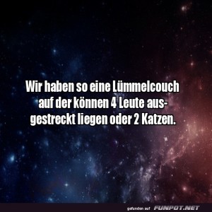 Katzen-und-ihre-Couch-Eroberungskünste.jpg von Roger05